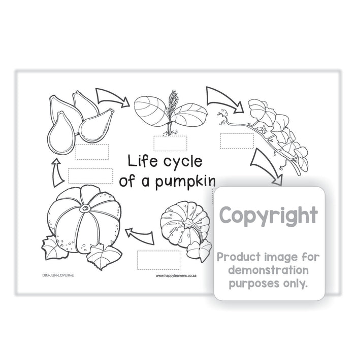 Life Cycle of a Fruit Tree - Apple Tree